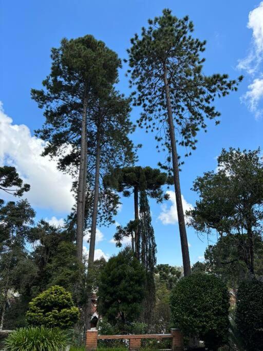 Charme E Conforto Na Montanha - Campos Do Jordao Proximo Ao Centro Екстериор снимка